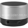 Портативная колонка DEFENDER Wild Beat (серебро)