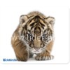 Коврик для компьютерной мыши DEFENDER Silk 230x190x1.6 мм 10 видов