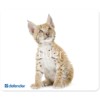 Коврик для компьютерной мыши DEFENDER Silk 230x190x1.6 мм 10 видов