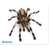 Коврик для компьютерной мыши DEFENDER Silk 230x190x1.6 мм 10 видов