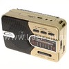 Колонка (YG-101UA) USB/SD/microSD/FM золото