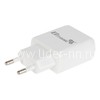 СЗУ ELTRONIC FASTER  2 USB выхода (2100 mAh) в коробке (белый)