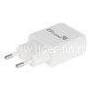 СЗУ ELTRONIC FASTER Lightning (2100 mAh/2 USB) в коробке (белый)