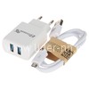 СЗУ ELTRONIC FASTER Micro USB (2100 mAh/2 USB) в коробке (белый)