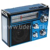 Колонка (RX-551Dch) USB/MicroSD/FM/LED/фонарь (синяя)