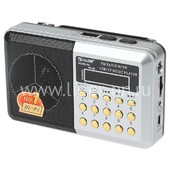 Колонка (RX-60ch) USB/Micro SD/FM/дисплей/фонарь (серебро)