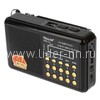 Колонка (RX-61ch) USB/Micro SD/FM/дисплей/фонарь (черная)