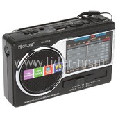 Колонка (RX-222-Sch) USB/micro SD/FM/фонарь/солнечная батарея (черная)