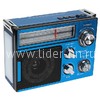 Колонка (RX-552Dch) USB/MicroSD/FM/LED/фонарь (синяя)