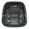 Колонка 08" (20-12 DANCE BOX 1200) динамик 2шт/8" ELTRONIC с TWS