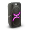 Колонка 08" (20-12 DANCE BOX 1200) динамик 2шт/8" ELTRONIC с TWS