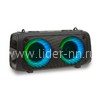 Колонка 04" (20-38 DANCE BOX 200) динамик 2шт/4" ELTRONIC с TWS