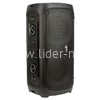 Колонка 06" (20-34 DANCE BOX 300) динамик 2шт/6.5" ELTRONIC с TWS