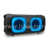 Колонка 06" (20-34 DANCE BOX 300) динамик 2шт/6.5" ELTRONIC с TWS