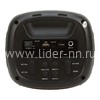 Колонка 04" (20-44 CRAZY BOX 100) динамик 1шт/4" ELTRONIC с TWS