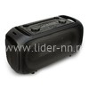 Колонка 06" (20-30 DANCE BOX 250) динамик 2шт/6.5" ELTRONIC с TWS