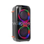 Колонка 06" (20-25 DANCE BOX 250 NEW) динамик 2шт/6.5" ELTRONIC с TWS