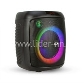 Колонка 08" (20-68 DANCE BOX) динамик 1шт/8" ELTRONIC с TWS