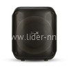 Колонка 08" (30-10 DANCE BOX 300) динамик 1шт/8" ELTRONIC с TWS