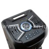 Колонка 10" (20-72 DANCE BOX 1300) динамик 2шт/10" ELTRONIC с TWS