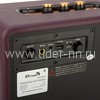 Колонка  ELTRONIC MONSTER BOX  850 (30-15) TWS (красный)