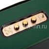 Колонка  ELTRONIC MONSTER BOX  850 (30-15) TWS (зеленый)