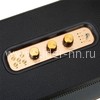 Колонка  ELTRONIC MONSTER BOX 1000 (30-16) TWS (черный)