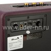 Колонка  ELTRONIC MONSTER BOX 1000 (30-16) TWS (красный)