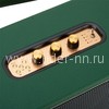 Колонка  ELTRONIC MONSTER BOX 1000 (30-16) TWS (зеленый)