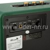 Колонка  ELTRONIC MONSTER BOX 1000 (30-16) TWS (зеленый)