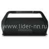 Колонка  ELTRONIC LIDER 600 (20-99) TWS (черный)