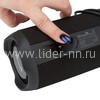 Колонка  ELTRONIC SIMPLY (30-04) TWS (черная)