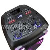 Колонка 12" (30-40 CRAZY BOX 800) динамик 1шт/12" ELTRONIC с TWS