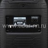 Колонка 08" (30-38 CRAZY BOX) динамик 2шт/8" ELTRONIC с TWS