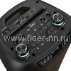 Колонка 08" (30-38 CRAZY BOX) динамик 2шт/8" ELTRONIC с TWS