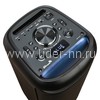 Колонка 06" (30-44 DANCE BOX 800) динамик 2шт/6.5" ELTRONIC с TWS