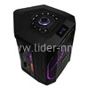 Колонка 08" (30-80 DANCE BOX 550) динамик 1шт/8" ELTRONIC с TWS