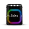 Колонка 08" (30-81 DANCE BOX 550) динамик 1шт/8" ELTRONIC с TWS