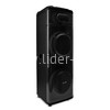 Колонка 12" (20-21 DIAMOND BOX 2500)  динамик 2шт/12" ElTRONIC с TWS