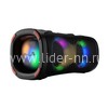 Колонка 06" (30-85 DANCE BOX 900) динамик 2шт/6.5" ELTRONIC с TWS (черная)