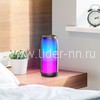 Колонка HOCO (HC8) Bluetooth/USB/MicroSD/LED (черная)