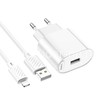 СЗУ Lightning 1 USB выход 10.5W (2100mAh/5V) HOCO C109A (белый)