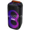 Колонка 06" (20-92 DANCE BOX 600) динамик 2шт/6.5" ELTRONIC с TWS