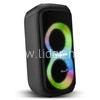 Колонка 06" (20-92 DANCE BOX 600) динамик 2шт/6.5" ELTRONIC с TWS