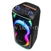 Колонка 08" (20-93 DANCE BOX 800) динамик 2шт/8" ElTRONIC с TWS