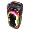 Колонка 08" (20-90 DANCE BOX 800) динамик 2шт/8" ElTRONIC с TWS